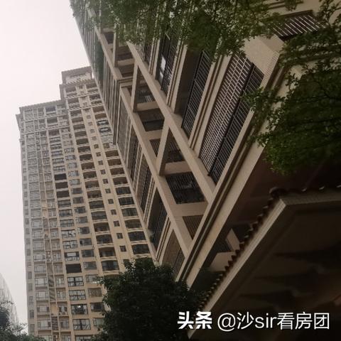 赤坎最新楼盘全面解析