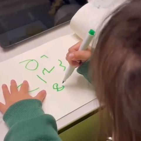 豆豆探寻数字宝藏，最新网之旅