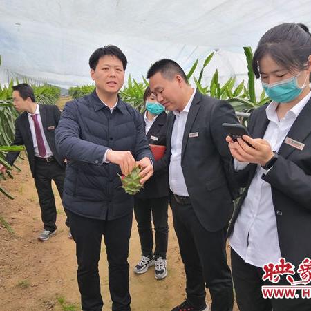 通许县新规划蓝图，未来繁荣展望
