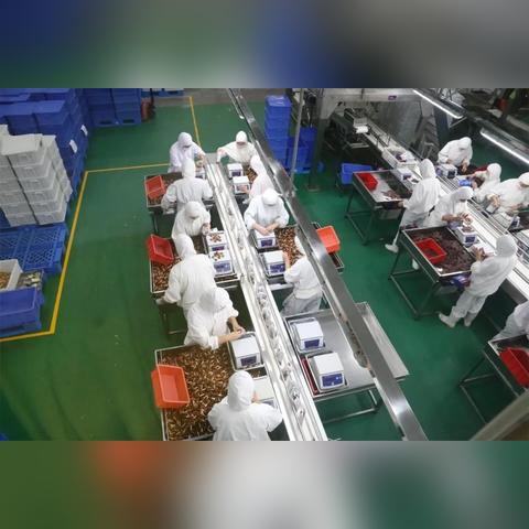 中国外贸最新政策深度解读