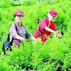 最新外汇开户赠金活动介绍