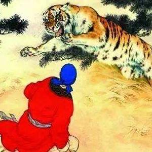口才帝小河北揭秘数据背后的故事