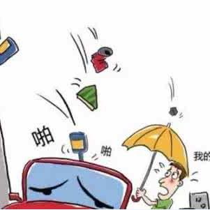 台风苗柏最新更新动态（XXXX年XX月XX日）