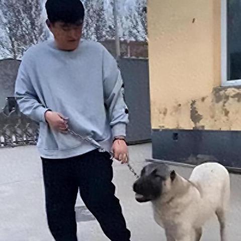 技术服务 第140页