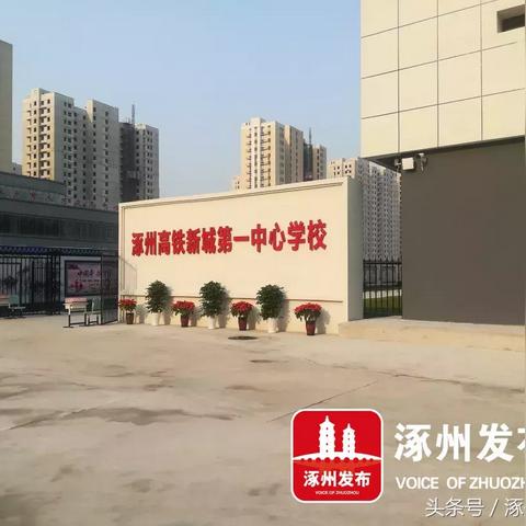 涿州企业招聘最新动态概览