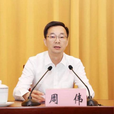 最强大脑周伟最新动态，揭秘成就与未来展望