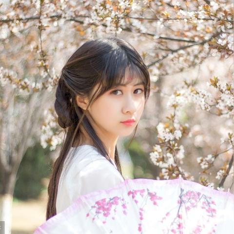 绝色医妃六月最新章节剧情解析与读者评价