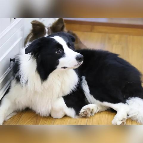最新癫痫治疗方法概述
