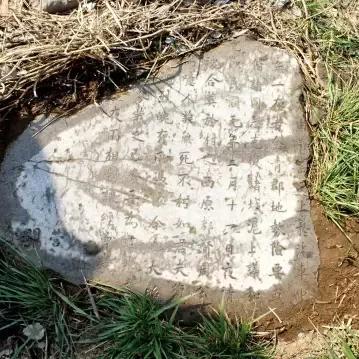 临淄新闻热点，九人事件深度报道更新