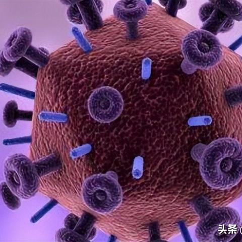 关于艾滋病的最新消息报道（2025年）